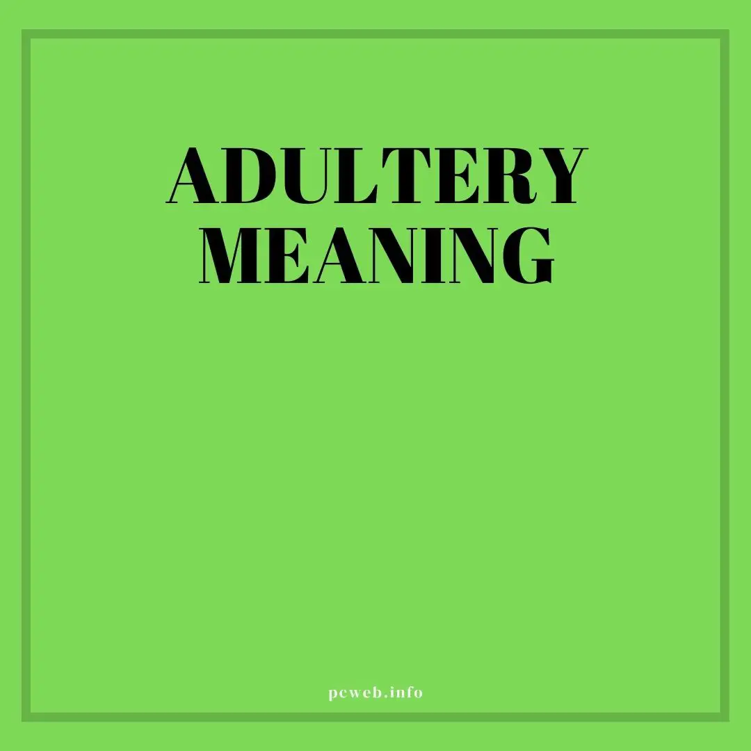 What is adultery: In the bible, in Judaism, in Islam, urban dictionary, and concubinage, and bigamy.