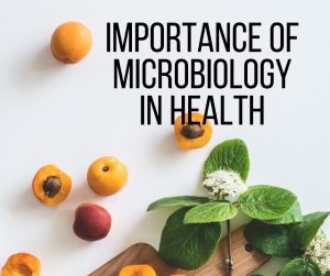 Importance of microbiology in health