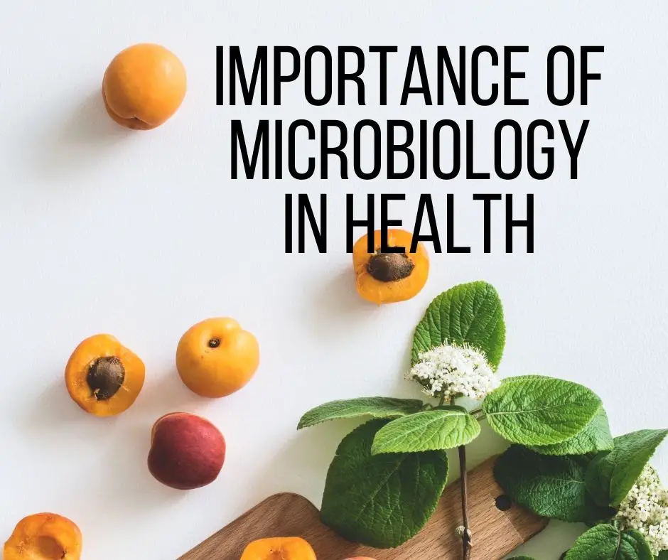 Importance of Microbiology in Health: Care,practice, public health, Environmental health. The role of microbiologists in treating illnesses is crucial