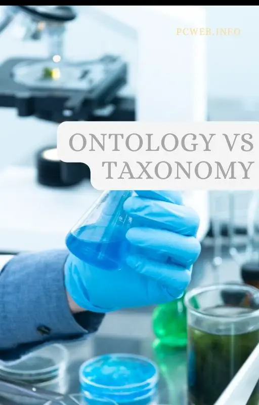 Ontologie vs taxonomie: sens de l'ontologie, sens de la taxonomie, différences.