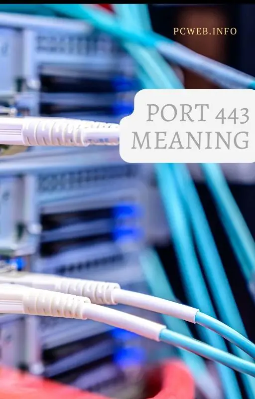 Port 443 Betydning: bruges til, vs port 80, protokol, sårbarheder, https, tcp eller udp