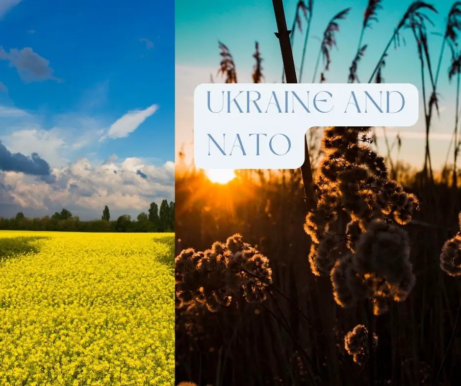 Ukraine and NATO Image