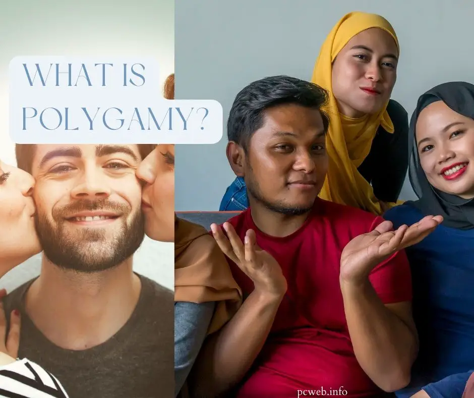 Que es la poligamia: decir, el matrimonio, la religión, en la Biblia, en la sociología, en el Islam, en la Historia.