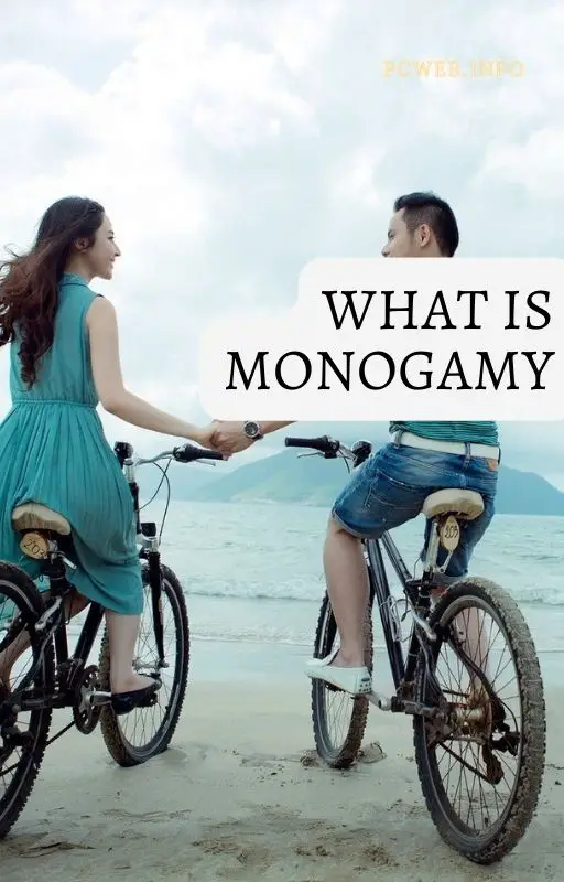 What is monogamy: mean, marriage, in sociology, in biology, in hindu Law