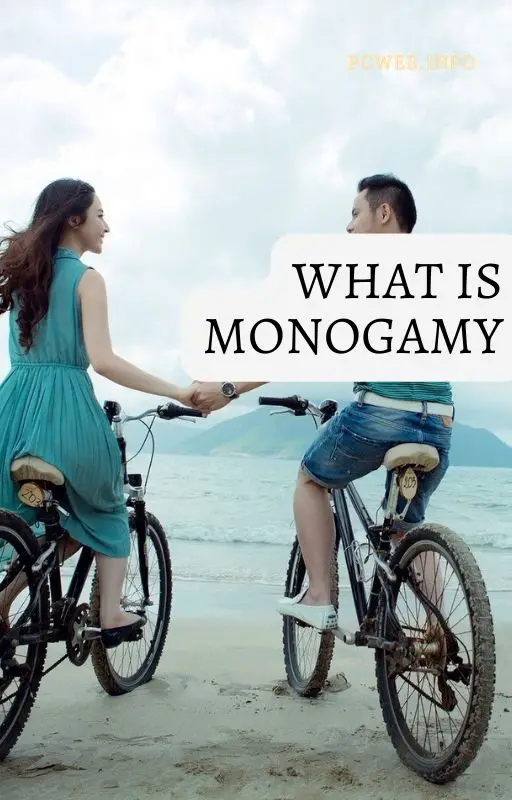 O que é monogamia: quer dizer, casamento, em sociologia, em biologia, em direito hindu