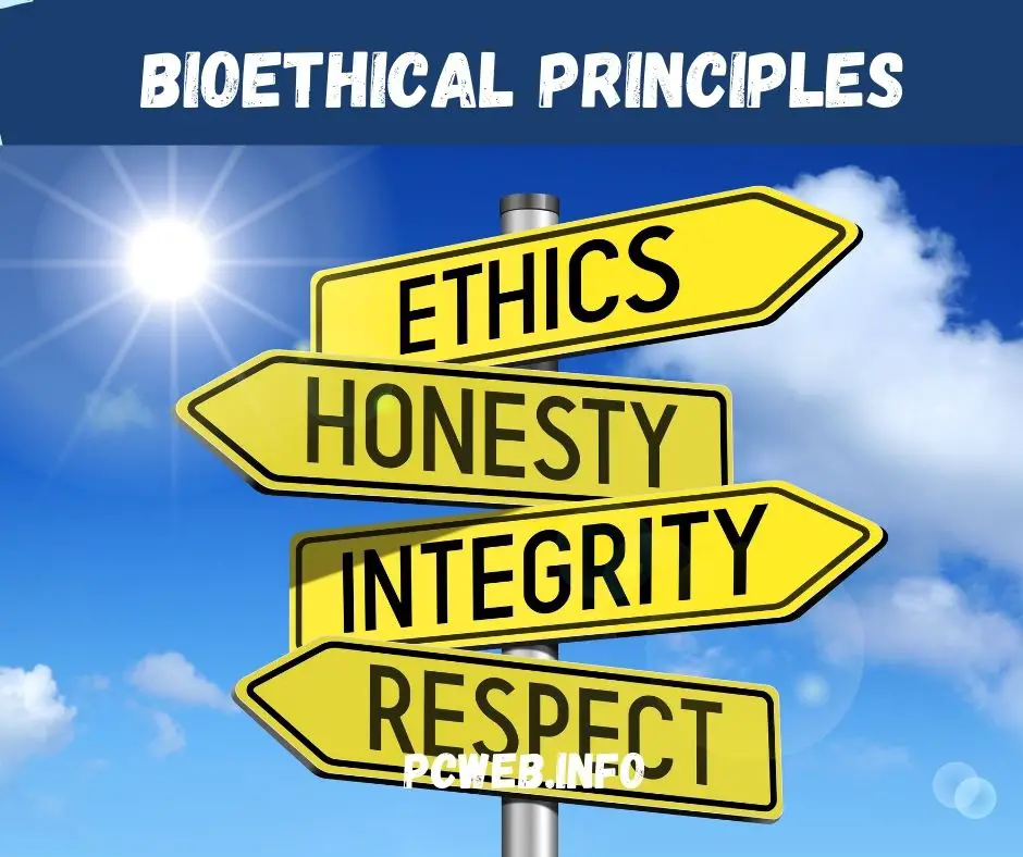 Bioethical principles (definition, examples, in healthcare, in nursing, in research)