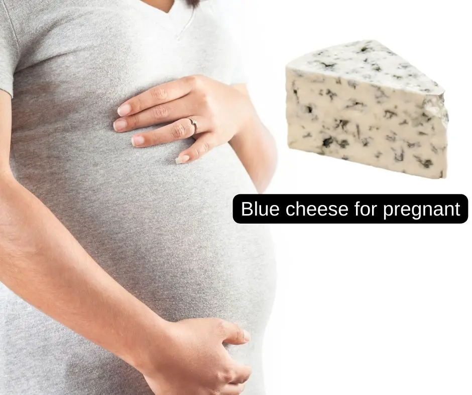 Blue cheese for pregnant