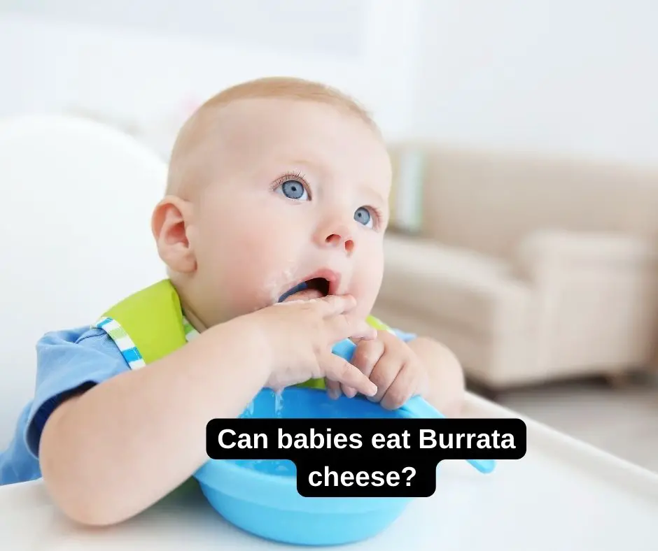 Können Babys Burrata-Käse essen?