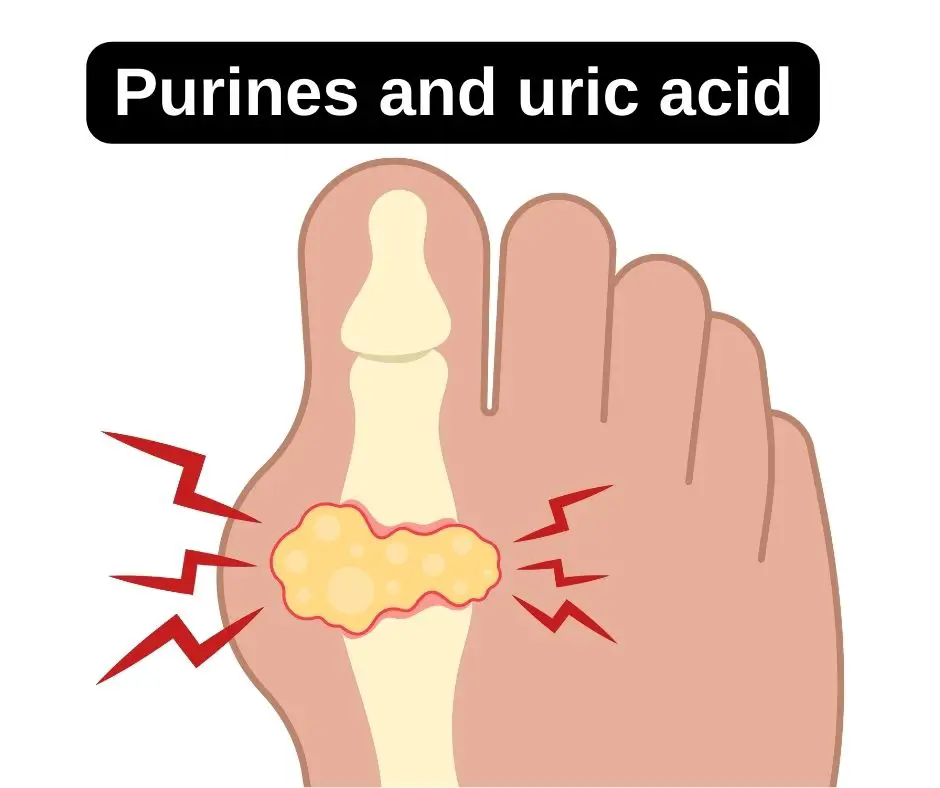 Purines and uric acid