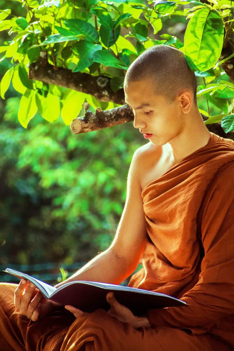 I buddisti sono celibi blog